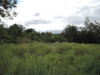 <b>Hunting, Boating, Family Recreation Opportunity</b>

<b>Features Include:</b>
* 22 Acres Woodland
* Aprox. 5 Acre Lake
* 50' Owned Lane along Hillsboro Road
* Frontage on 200N
* Adjoins Wilbur Wright Fish & Wildlife Area
* Information is estimated and not warranted - 27+/- Acres Recreational Land