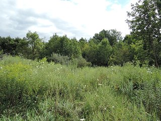 <b>Hunting, Boating, Family Recreation Opportunity</b>

<b>Features Include:</b>
* 22 Acres Woodland
* Aprox. 5 Acre Lake
* 50' Owned Lane along Hillsboro Road
* Frontage on 200N
* Adjoins Wilbur Wright Fish & Wildlife Area
* Information is estimated and not warranted - 27+/- Acres Recreational Land