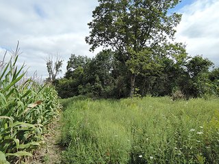 <b>Hunting, Boating, Family Recreation Opportunity</b>

<b>Features Include:</b>
* 22 Acres Woodland
* Aprox. 5 Acre Lake
* 50' Owned Lane along Hillsboro Road
* Frontage on 200N
* Adjoins Wilbur Wright Fish & Wildlife Area
* Information is estimated and not warranted - 27+/- Acres Recreational Land
