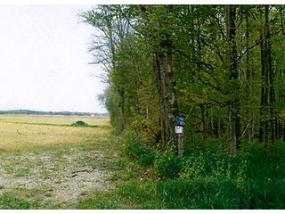 - 30.6 Acres all woodland. 
- Stream and nice area for pond.  
- Whole family recreation right here on blacktop road or build your own place.  
- Limited houses adjoining.  
- Ash harvest in 2015 with good long term timber potential. - 30.6+/- Acres All Woodland