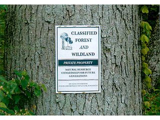 - 30.6 Acres all woodland. 
- Stream and nice area for pond.  
- Whole family recreation right here on blacktop road or build your own place.  
- Limited houses adjoining.  
- Ash harvest in 2015 with good long term timber potential. - 30.6+/- Acres All Woodland