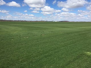 66+/- Acres with 63.42 tillable and 2.58 pasture/woods and 2.58 roads & waste.

Farm is currently is SOD production and current crop will be removed before June 1, 2016.  Possession is immediate upon removal of SOD. - 66+/- Acres in Boone County, IN