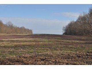 There are an abundance of uses for this property, home site, sportsman's paradise and tillable farmland.  Located closed to Lebanon and Antioch south of Frankfort, Indiana.  Combine this purchase with adjacent land available by Schrader for 250 total acres for sale. 

Sugar Creek runs through the southern side with 20' deep pit filled by creek, abundant wildlife present.  The productive tillable acres are available on lease back or open after current planting season.  Many walnut trees present on woodland, potential opportunity to harvest in the future.

 - 160+/- Acres Clinton County Farmland & Woodland