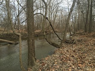 There are an abundance of uses for this property, home site, sportsman's paradise and tillable farmland.  Located closed to Lebanon and Antioch south of Frankfort, Indiana.  Combine this purchase with adjacent land available by Schrader for 250 total acres for sale. 

Sugar Creek runs through the southern side with 20' deep pit filled by creek, abundant wildlife present.  The productive tillable acres are available on lease back or open after current planting season.  Many walnut trees present on woodland, potential opportunity to harvest in the future.

 - 160+/- Acres Clinton County Farmland & Woodland