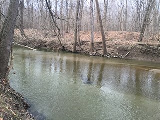 There are an abundance of uses for this property, home site, sportsman's paradise and tillable farmland.  Located closed to Lebanon and Antioch south of Frankfort, Indiana.  Combine this purchase with adjacent land available by Schrader for 250 total acres for sale. 

Sugar Creek runs through the southern side with 20' deep pit filled by creek, abundant wildlife present.  The productive tillable acres are available on lease back or open after current planting season.  Many walnut trees present on woodland, potential opportunity to harvest in the future.

 - 160+/- Acres Clinton County Farmland & Woodland
