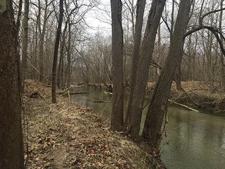 There are an abundance of uses for this property, home site, sportsman's paradise and tillable farmland.  Located closed to Lebanon and Antioch south of Frankfort, Indiana.  Combine this purchase with adjacent land available by Schrader for 250 total acres for sale. 

Sugar Creek runs through the southern side with 20' deep pit filled by creek, abundant wildlife present.  The productive tillable acres are available on lease back or open after current planting season.  Many walnut trees present on woodland, potential opportunity to harvest in the future.

 - 160+/- Acres Clinton County Farmland & Woodland