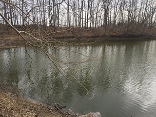 There are an abundance of uses for this property, home site, sportsman's paradise and tillable farmland.  Located closed to Lebanon and Antioch south of Frankfort, Indiana.  Combine this purchase with adjacent land available by Schrader for 250 total acres for sale. 

Sugar Creek runs through the southern side with 20' deep pit filled by creek, abundant wildlife present.  The productive tillable acres are available on lease back or open after current planting season.  Many walnut trees present on woodland, potential opportunity to harvest in the future.

 - 160+/- Acres Clinton County Farmland & Woodland