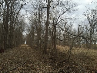 There are an abundance of uses for this property, home site, sportsman's paradise and tillable farmland.  Located closed to Lebanon and Antioch south of Frankfort, Indiana.  Combine this purchase with adjacent land available by Schrader for 250 total acres for sale. 

Sugar Creek runs through the southern side with 20' deep pit filled by creek, abundant wildlife present.  The productive tillable acres are available on lease back or open after current planting season.  Many walnut trees present on woodland, potential opportunity to harvest in the future.

 - 160+/- Acres Clinton County Farmland & Woodland