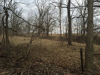 There are an abundance of uses for this property, home site, sportsman's paradise and tillable farmland.  Located closed to Lebanon and Antioch south of Frankfort, Indiana.  Combine this purchase with adjacent land available by Schrader for 250 total acres for sale. 

Sugar Creek runs through the southern side with 20' deep pit filled by creek, abundant wildlife present.  The productive tillable acres are available on lease back or open after current planting season.  Many walnut trees present on woodland, potential opportunity to harvest in the future.

 - 160+/- Acres Clinton County Farmland & Woodland