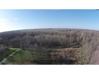 There are an abundance of uses for this property, home site, sportsman's paradise and tillable farmland.  Located closed to Lebanon and Antioch south of Frankfort, Indiana.  Combine this purchase with adjacent land available by Schrader for 250 total acres for sale. 

Sugar Creek runs through the southern side with 20' deep pit filled by creek, abundant wildlife present.  The productive tillable acres are available on lease back or open after current planting season.  Many walnut trees present on woodland, potential opportunity to harvest in the future.

 - 160+/- Acres Clinton County Farmland & Woodland