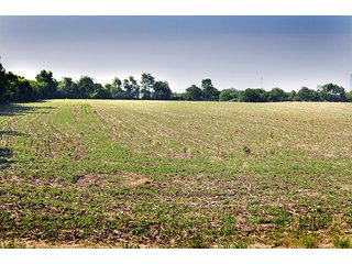 66 Acres with 56.72 acres tillable and 8.28 acres pasture/woods.  Leased for 2016.

Normal farm yield(s); Beans averages 55/BPA and Corn averages 185/BPA.

Farm will require agricultural easement to access south half of farm; nice farmland in southwestern Clinton County.

Some fencing around perimeter.   - 66 Acres Near Clinton Prairie Schools, Clinton County Indiana