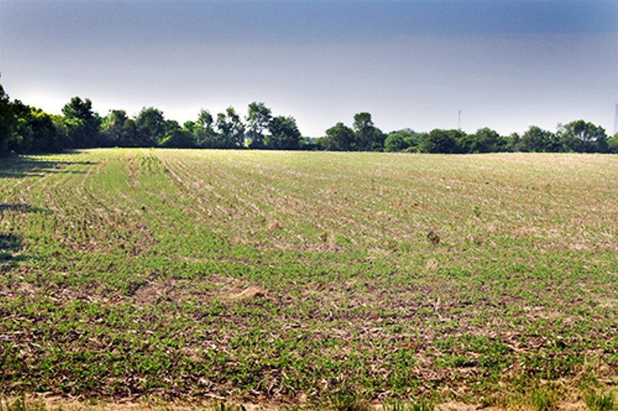 For sale: 66 Acres Near Clinton Prairie Schools, Clinton County Indiana - Frankfort, Indiana