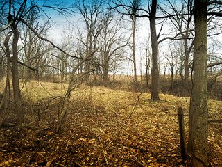 Nice Southern Clinton County potential building lot or sportsman's paradise located close to Lebabon and Anitoch and south of Frankfort, Indiana.  There is a recent timber opinion available on projected value, contact sales manager for additional information. - 37+/- Acre Wooded Lot