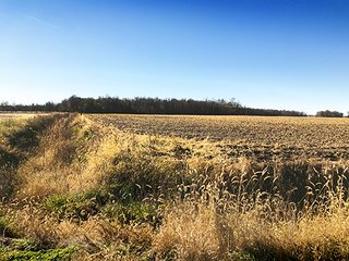 Nice Southern Clinton County potential building lot or sportsman's paradise located close to Lebabon and Anitoch and south of Frankfort, Indiana.  There is a recent timber opinion available on projected value, contact sales manager for additional information. - 37+/- Acre Wooded Lot