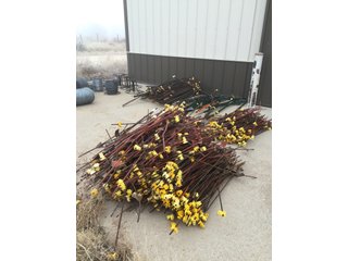 Property photo 349 - FARM EQUIPMENT AUCTION IN DUNDY COUNTY, NEBRASKA
