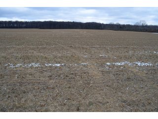Property photo 29 - LAND AUCTION - 80+/- ACRES OFFERED IN 4 TRACTS IN NORTHEAST ALLEN COUNTY, INDIANA