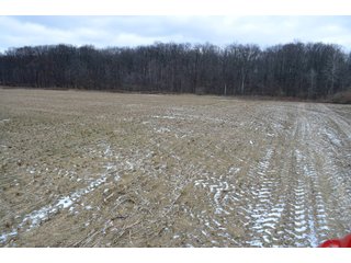 Property photo 9 - LAND AUCTION - 80+/- ACRES OFFERED IN 4 TRACTS IN NORTHEAST ALLEN COUNTY, INDIANA