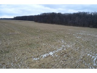 Property photo 7 - LAND AUCTION - 80+/- ACRES OFFERED IN 4 TRACTS IN NORTHEAST ALLEN COUNTY, INDIANA