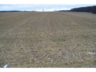 Property photo 31 - LAND AUCTION - 80+/- ACRES OFFERED IN 4 TRACTS IN NORTHEAST ALLEN COUNTY, INDIANA