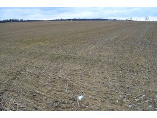Property photo 34 - LAND AUCTION - 80+/- ACRES OFFERED IN 4 TRACTS IN NORTHEAST ALLEN COUNTY, INDIANA