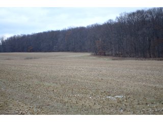 Property photo 14 - LAND AUCTION - 80+/- ACRES OFFERED IN 4 TRACTS IN NORTHEAST ALLEN COUNTY, INDIANA