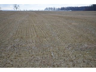 Property photo 13 - LAND AUCTION - 80+/- ACRES OFFERED IN 4 TRACTS IN NORTHEAST ALLEN COUNTY, INDIANA