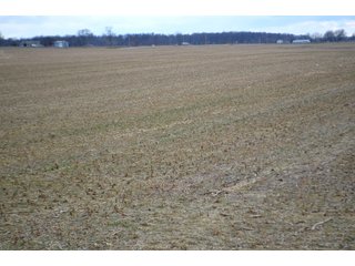 Property photo 3 - LAND AUCTION - 80+/- ACRES OFFERED IN 4 TRACTS IN NORTHEAST ALLEN COUNTY, INDIANA