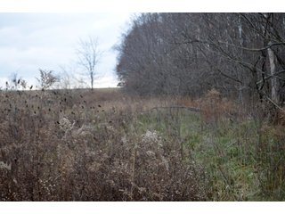 Property photo 6 - LAND AUCTION - 80+/- ACRES OFFERED IN 4 TRACTS IN NORTHEAST ALLEN COUNTY, INDIANA