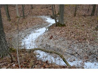Property photo 20 - LAND AUCTION - 80+/- ACRES OFFERED IN 4 TRACTS IN NORTHEAST ALLEN COUNTY, INDIANA