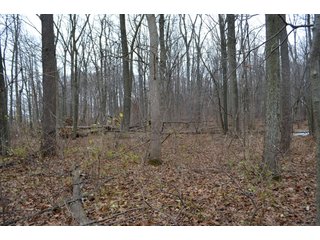 Property photo 4 - LAND AUCTION - 80+/- ACRES OFFERED IN 4 TRACTS IN NORTHEAST ALLEN COUNTY, INDIANA