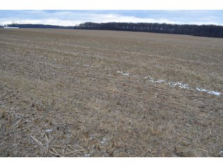 Property photo 28 - LAND AUCTION - 80+/- ACRES OFFERED IN 4 TRACTS IN NORTHEAST ALLEN COUNTY, INDIANA