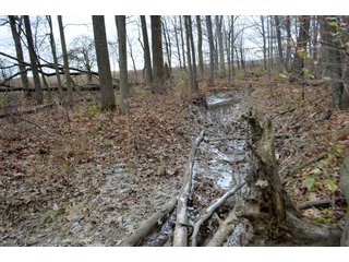 Property photo 17 - LAND AUCTION - 80+/- ACRES OFFERED IN 4 TRACTS IN NORTHEAST ALLEN COUNTY, INDIANA