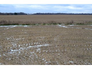 Property photo 33 - LAND AUCTION - 80+/- ACRES OFFERED IN 4 TRACTS IN NORTHEAST ALLEN COUNTY, INDIANA
