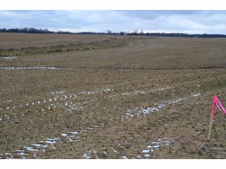 Property photo 15 - LAND AUCTION - 80+/- ACRES OFFERED IN 4 TRACTS IN NORTHEAST ALLEN COUNTY, INDIANA
