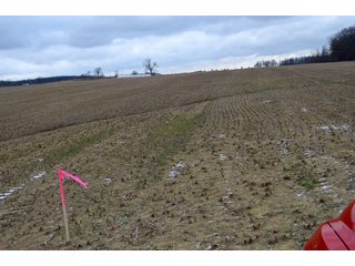 Property photo 32 - LAND AUCTION - 80+/- ACRES OFFERED IN 4 TRACTS IN NORTHEAST ALLEN COUNTY, INDIANA