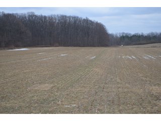 Property photo 35 - LAND AUCTION - 80+/- ACRES OFFERED IN 4 TRACTS IN NORTHEAST ALLEN COUNTY, INDIANA