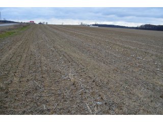 Property photo 27 - LAND AUCTION - 80+/- ACRES OFFERED IN 4 TRACTS IN NORTHEAST ALLEN COUNTY, INDIANA