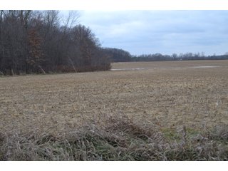 Property photo 1 - LAND AUCTION - 80+/- ACRES OFFERED IN 4 TRACTS IN NORTHEAST ALLEN COUNTY, INDIANA