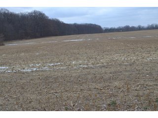 Property photo 41 - LAND AUCTION - 80+/- ACRES OFFERED IN 4 TRACTS IN NORTHEAST ALLEN COUNTY, INDIANA