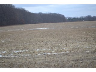 Property photo 24 - LAND AUCTION - 80+/- ACRES OFFERED IN 4 TRACTS IN NORTHEAST ALLEN COUNTY, INDIANA