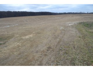 Property photo 18 - LAND AUCTION - 80+/- ACRES OFFERED IN 4 TRACTS IN NORTHEAST ALLEN COUNTY, INDIANA