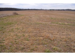 Property photo 19 - LAND AUCTION - 80+/- ACRES OFFERED IN 4 TRACTS IN NORTHEAST ALLEN COUNTY, INDIANA