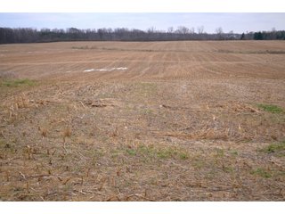 Property photo 11 - LAND AUCTION - 80+/- ACRES OFFERED IN 4 TRACTS IN NORTHEAST ALLEN COUNTY, INDIANA