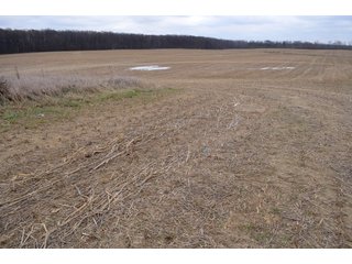Property photo 22 - LAND AUCTION - 80+/- ACRES OFFERED IN 4 TRACTS IN NORTHEAST ALLEN COUNTY, INDIANA