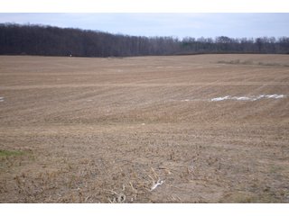 Property photo 5 - LAND AUCTION - 80+/- ACRES OFFERED IN 4 TRACTS IN NORTHEAST ALLEN COUNTY, INDIANA