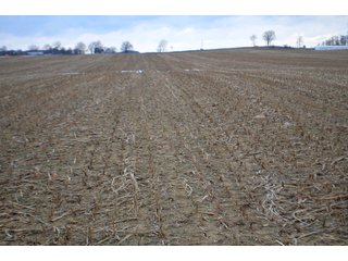 Property photo 25 - LAND AUCTION - 80+/- ACRES OFFERED IN 4 TRACTS IN NORTHEAST ALLEN COUNTY, INDIANA