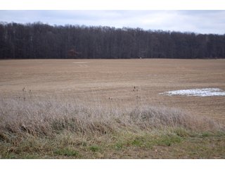 Property photo 36 - LAND AUCTION - 80+/- ACRES OFFERED IN 4 TRACTS IN NORTHEAST ALLEN COUNTY, INDIANA