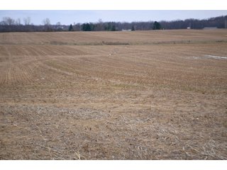 Property photo 10 - LAND AUCTION - 80+/- ACRES OFFERED IN 4 TRACTS IN NORTHEAST ALLEN COUNTY, INDIANA