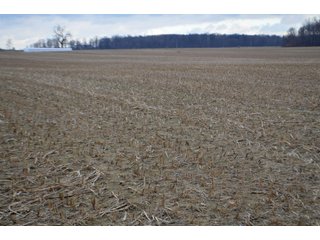 Property photo 26 - LAND AUCTION - 80+/- ACRES OFFERED IN 4 TRACTS IN NORTHEAST ALLEN COUNTY, INDIANA