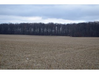 Property photo 30 - LAND AUCTION - 80+/- ACRES OFFERED IN 4 TRACTS IN NORTHEAST ALLEN COUNTY, INDIANA